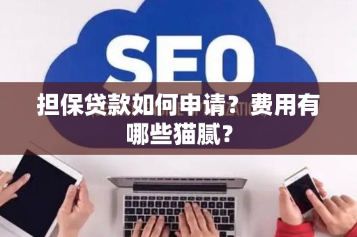 担保贷款如何申请?费用有哪些猫腻? 担保贷款如何申请?费用有哪些猫腻?